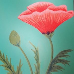 Meet your Posher, Shauna